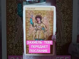 7 апреля 2025 г.