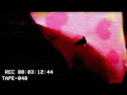 Vol.1: The Most Disturbing Lost Media Ever Recovered