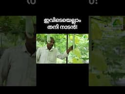 എന്ത് രസമാണല്ലേ ഈ കാഴ്ചകൾ! അതിമനോഹരമായ ലാലു ചേട്ടന്റെ കൃഷിയിടം