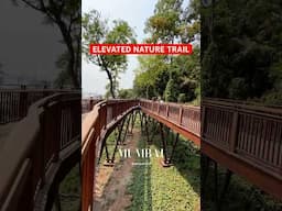 1st Look 😍 Mumbai’s Gets Singapore’s Treetop Walkway #shorts