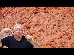 How To Make PERFECT Pulled BEEF every time! Foolproof!