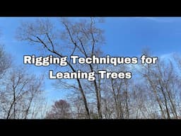 A Discussion on Arborist Rigging Techniques for Leaning Trees