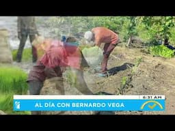 ¿Cuáles haitianos faltan y cuáles sobran en el país?