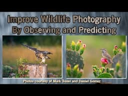 Improve Your Photography by Predicting the Behavior of Your Subject