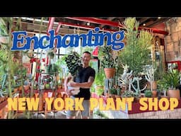 Plant Shop in Brooklyn 🇺🇸 Brimming With Passion & Creativity + Plant Recommendations for Apartments