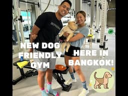 We found a NEW Dog Friendly Gym | Here in Bangkok! 🇹🇭 | Third Thai’s a Charm