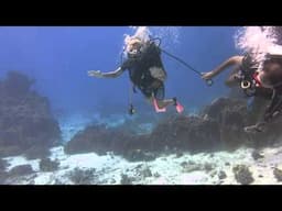 TCMN - dykking i egypt
