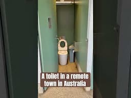 An ordinary park toilet in Mildura, a remote country city in Australia.