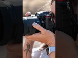 The LUMIX S1RII is the L Mount body we've been waiting for?!