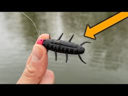 Fishing With The BLUEGRASS BUG!