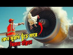 মুরগি দিয়ে উড়োজাহাজের ইঞ্জিন পরীক্ষা Why Do Engineers Throw Chickens at Jet Engines