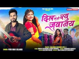 😜❣️दिल भूंजी रयू जुवानाय 😂Dil Bhunji Rayu Juvanay ‼️ Piru Bhai Solanki New Timli Song 2025
