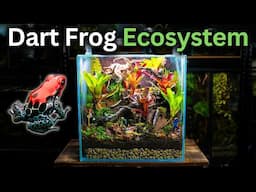 I Made An Ecosystem For Poison Dart Frogs, Here's How!