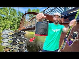 EASY Springtime CRAPPIE and BLUEGILL Fishing for Lunch! -- Catch and Cook SPICY Blackened Fillets!