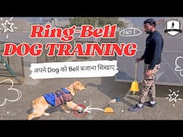 How to train your Dog to Ring Bell for Food & to go outside for Potty || Smart Dogs Training Hindi