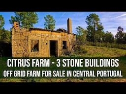 3 STONE RUINS & 2.2 HECTARE CITURS FARM FOR SALE CENTRAL PORTUGAL - HOMESTEAD, FUNDAO