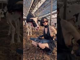 This is rad af. 🔥🔥🔥🔥 #ai #aivideo #cow