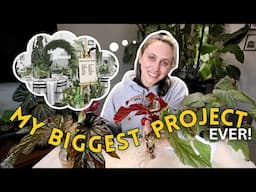 My RHS Indoor Garden Design 🪴 Repot & Chat