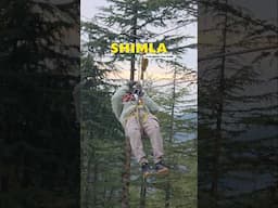Shimla Diary😍