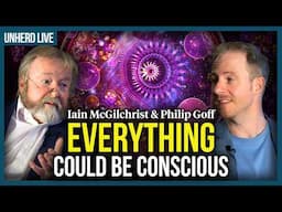 Iain McGilchrist & Philip Goff: Is the universe conscious?