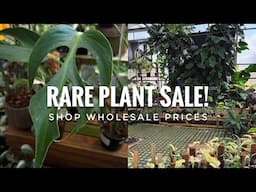 RARE PLANT RESTOCK for Major Sale at Perfect Choice Nursery Vlog | Shop Aroid Greenhouses Wholesale