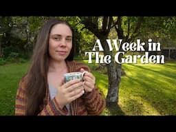 Feeling More Like Myself 🍂 Autumn Gardening & Homemaking Weekly Vlog