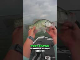 Giant Crappie Catch: Hooked Myself! Summer Crappie Fishing