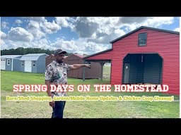 *NEW  SHOPPING FOR OUR NEW BARN/SHED! CHICKEN COOP CLEANUP ,GARDEN/MOBILE & MORE  #shed #barn