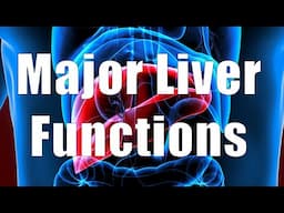 Major Liver Functions (Nutrition 101, DiTuro Productions, LLC)
