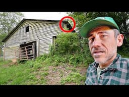 Can This Overgrown Old Barn Save Us Water for Fruit Trees