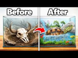 I Transformed an Abandoned Turtle’s Home