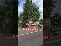 Mặt tiền đẹp xây biệt thự giá rẻ