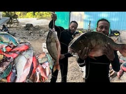 LOOK AT MY CATCH FOR TODAY😱