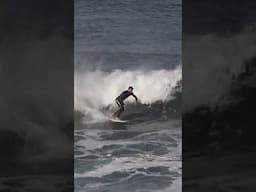 Dane Zaun finds a few gems