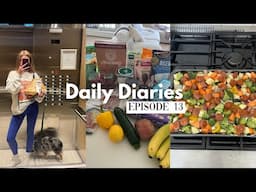 gut health protocol, gluten-free grocery haul & dating life lately | daily diaries ep. 13