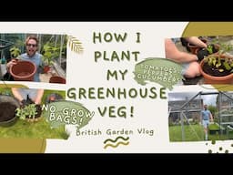 Ditching Grow Bags: My New Budget Pot System for Greenhouse Veg 🌱