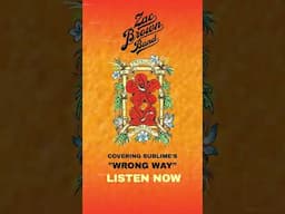 "Wrong Way" (Sublime Cover) by Zac Brown Band out now!  #sublime #zacbrownband