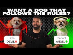 Live Q&A: Little Devil to Perfect Angel – Teaching Boundaries with Leash Pressure & Tone
