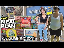 How I Lost 50 Pounds in 3 Months | My EXACT Portion Control Meal Plan from Walmart