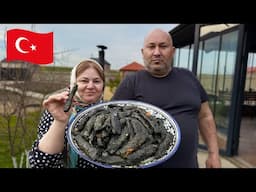 Turkish Sarma from Mangold! Good Recipe!