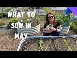 What To Sow In May - Allotment Gardening For Beginners UK