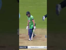 Magical Spin Deliveries