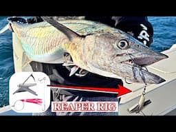 This SIMPLE product will help you CATCH MORE Pelagics! The Reaper Rig