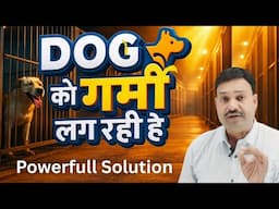 डॉग को गर्मी लगे तो ये करें POWERFULL Solution 💪🏽 Dog ko Jyada garmi lage to kya karen