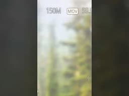 Stuck in a forest fire, luckily the SOS button worked🔥 #theexperience #forestfire #sos
