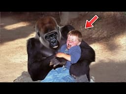 Gorilla Refuses To Let Go Of This Boy, Then Does The Last Thing Anyone Expected