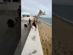 Parkour X Gymnastics Collab