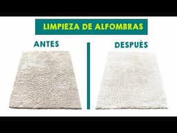 ¡ADIOS MANCHAS! Haz que tus ALFOMBRAS vuelvan  a LUCIR