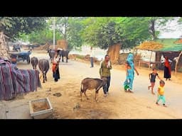 🇮🇳You Won't Believe This Is India | Bike Tour in India, "Daily Life of Indian People