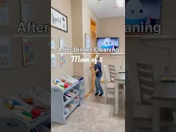 Clean With Me! - After Dinner *Mom of 5* #foryou #cleaning #cleaningmotivation #cleanwithme #shorts